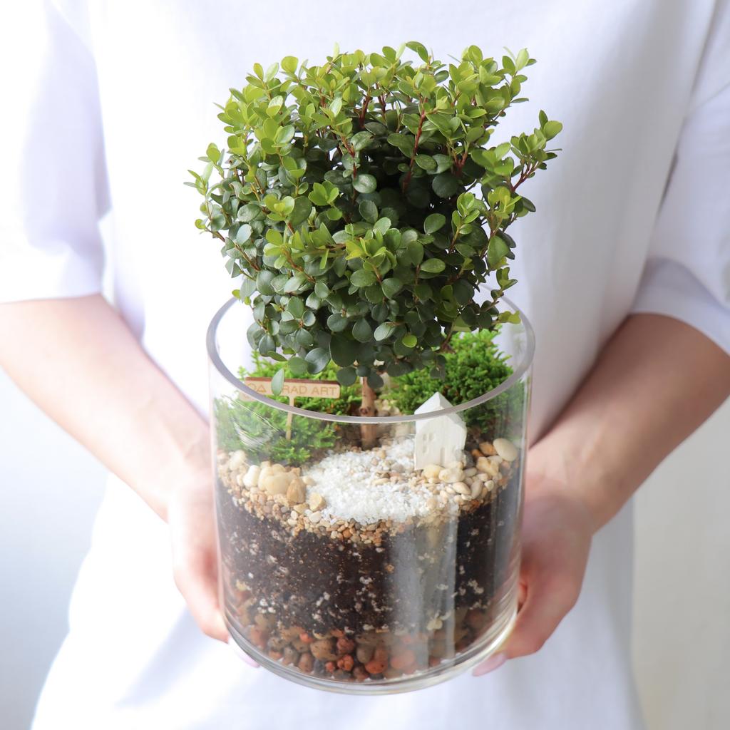 Цилиндр L (30х15см)