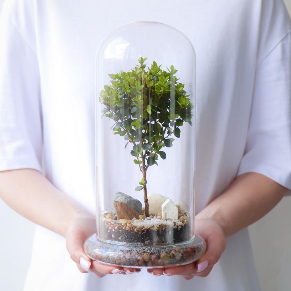 Купол M (28х13см)