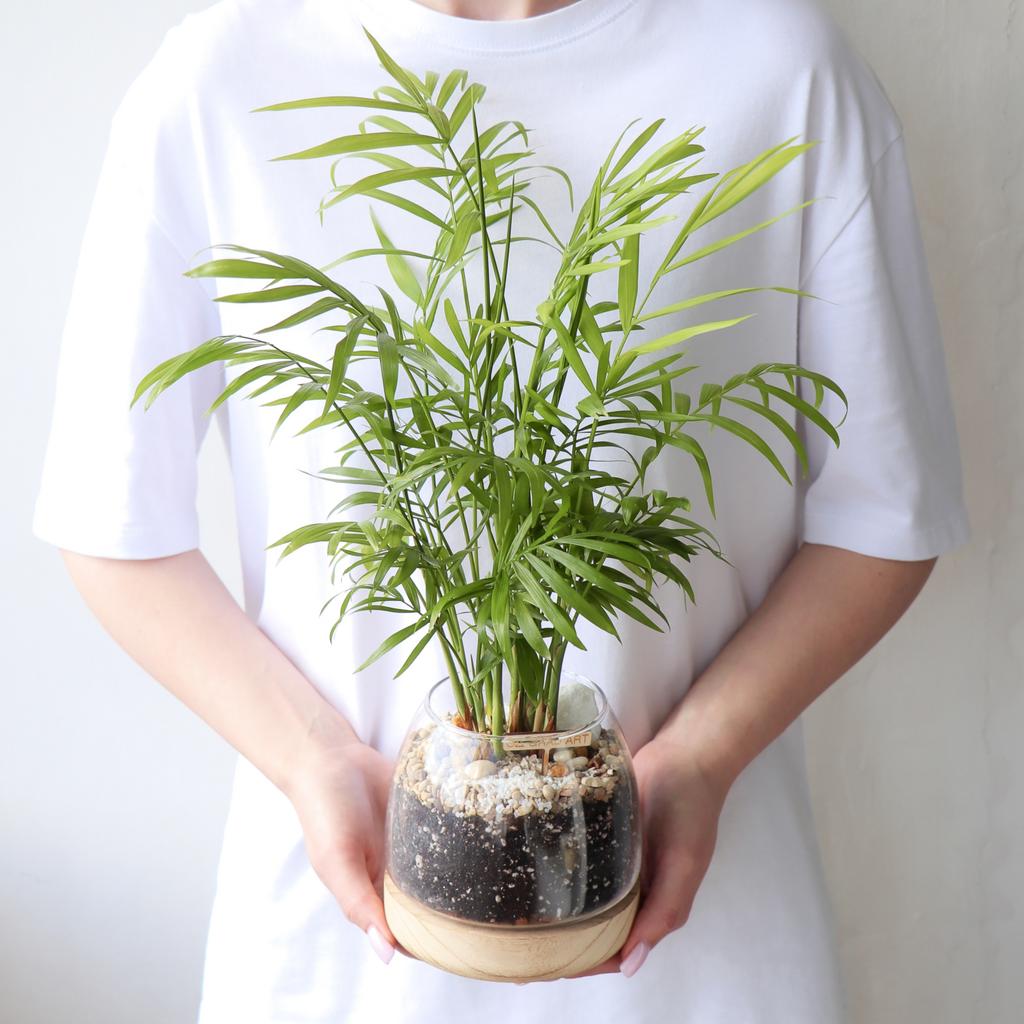 Конус M (32х13см)