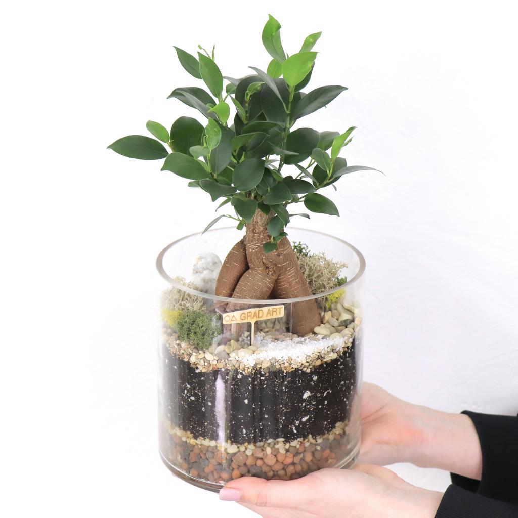 Цилиндр L (30х15см)