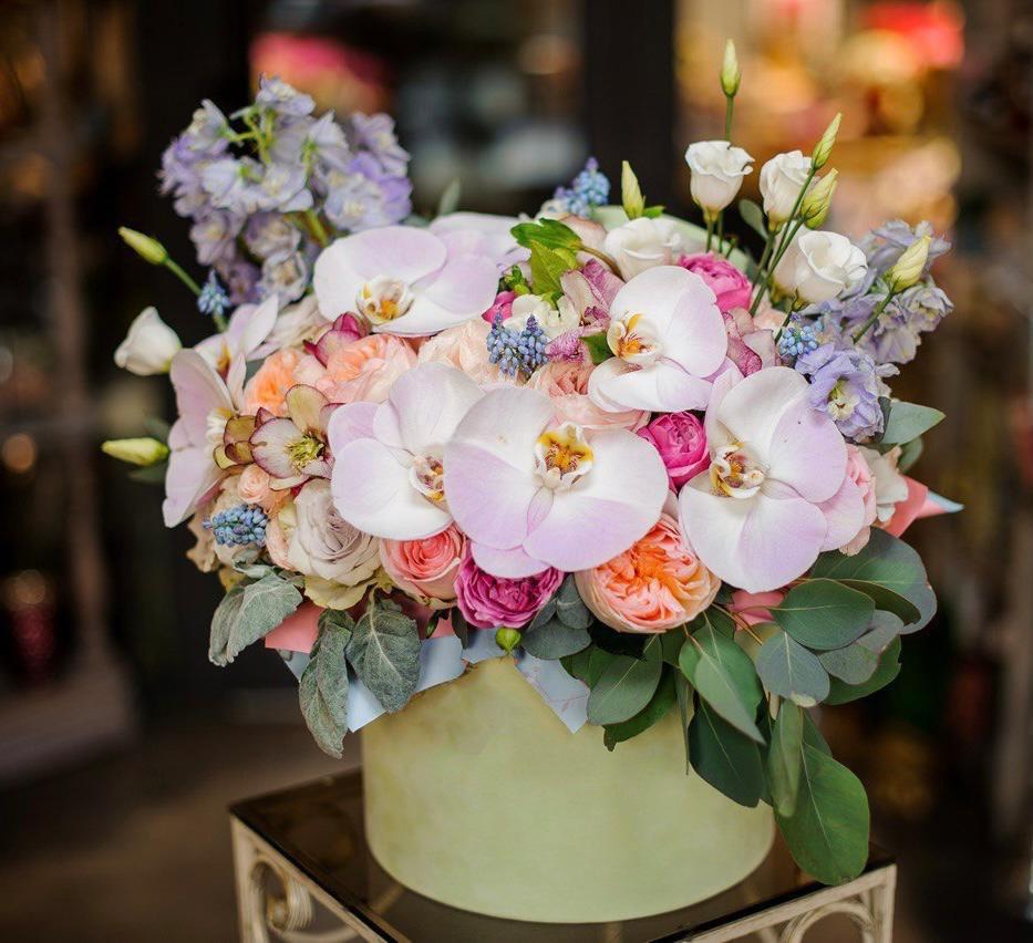 Композиция "Страна чудес"