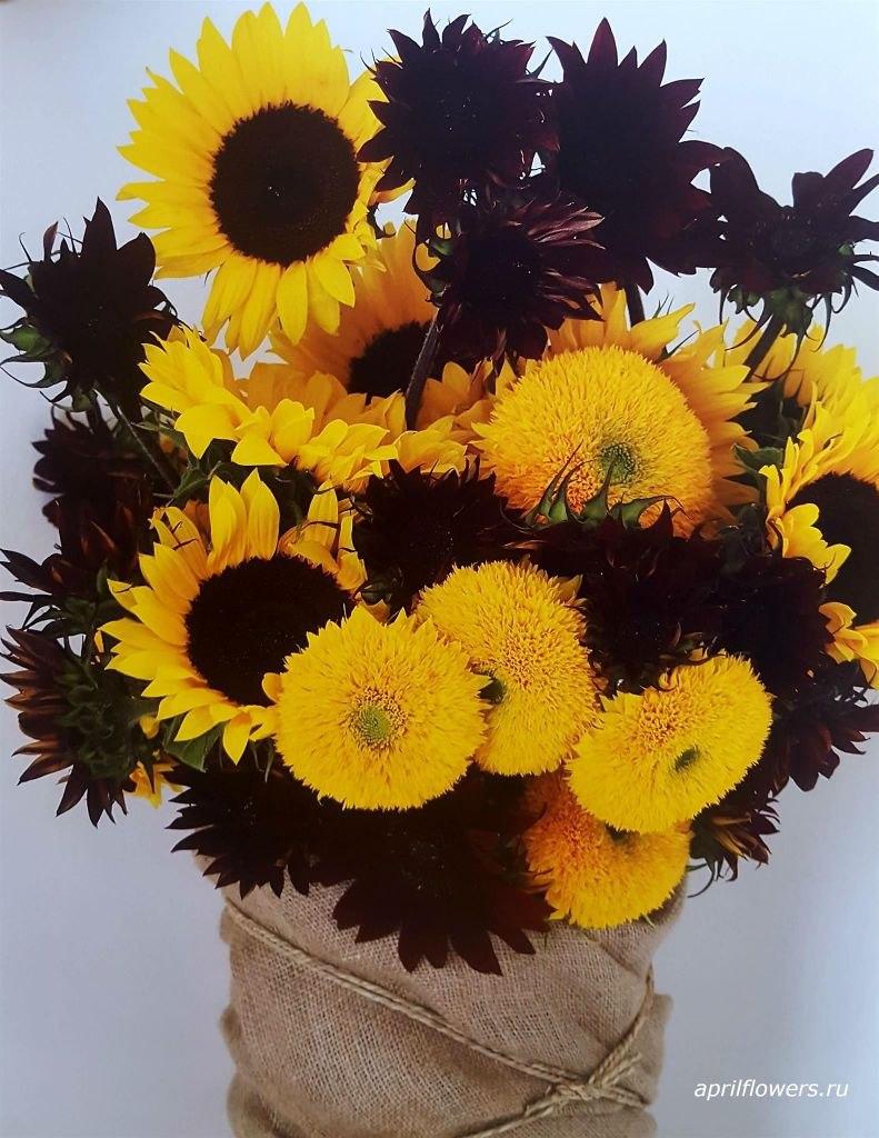 Композиция "Солнечное настроение"