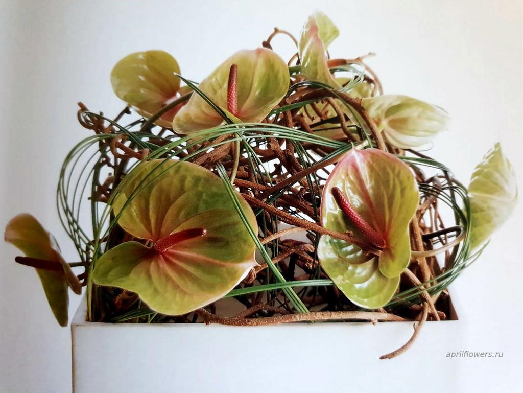 Композиция "Сдержанность"