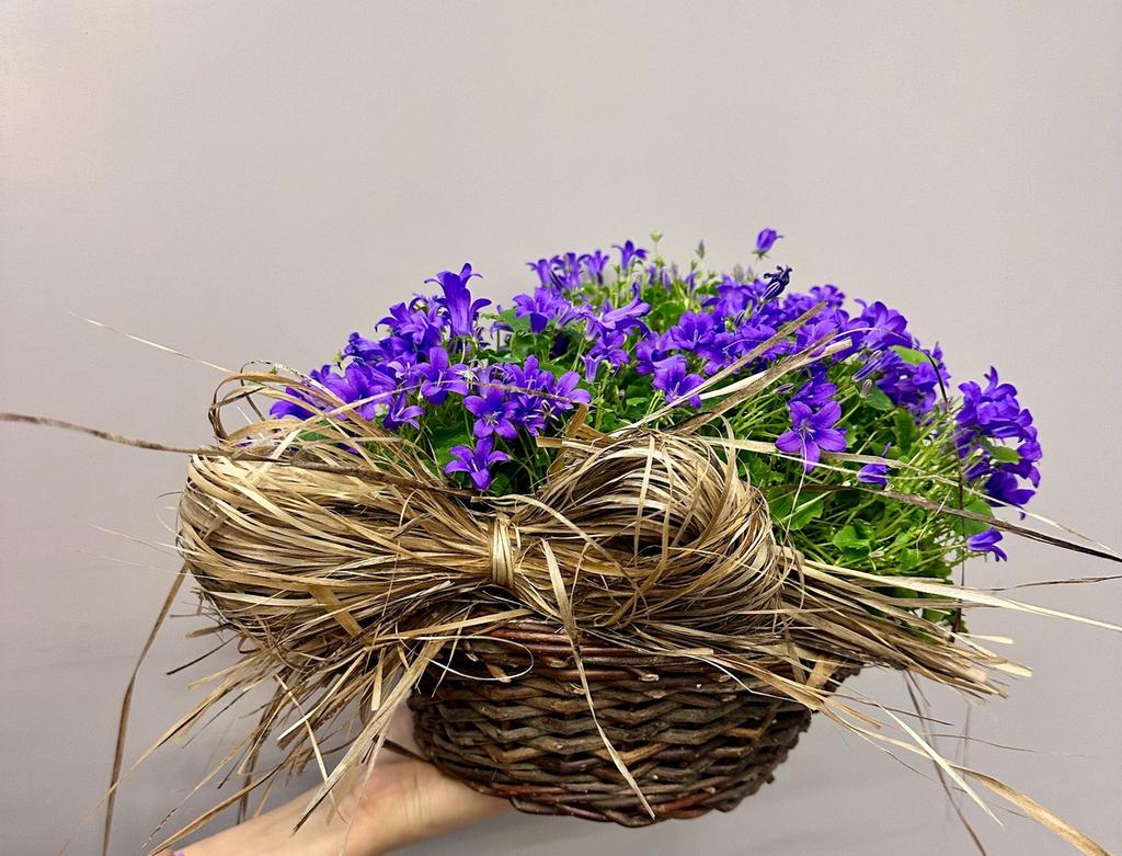 Композиция "Колокольчик"