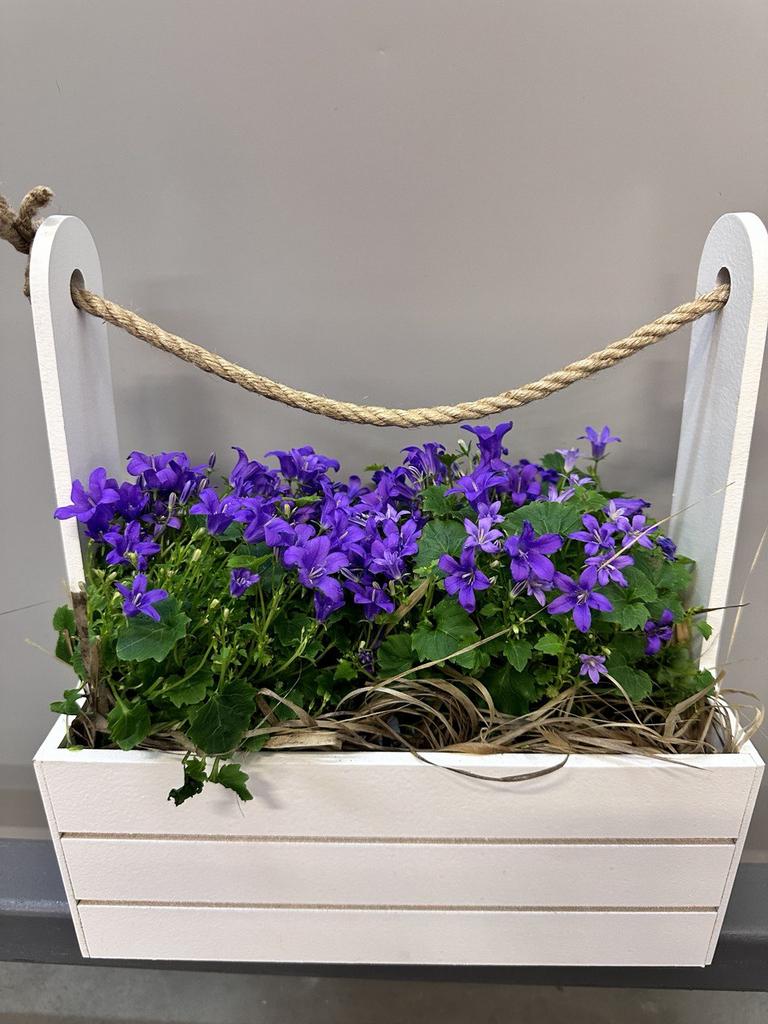 Композиция "Предвкушение"