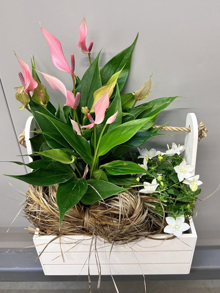 Композиция "Неожиданность"