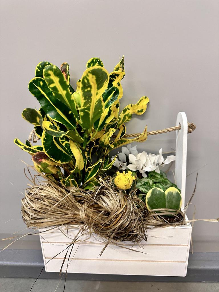 Композиция "Зеленая книга"