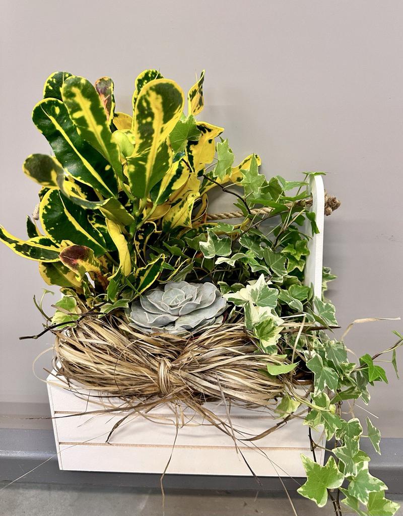 Композиция "Зеленая палитра"