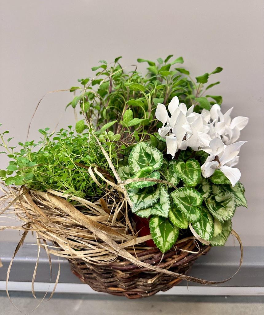 Композиция "Пробуждение"