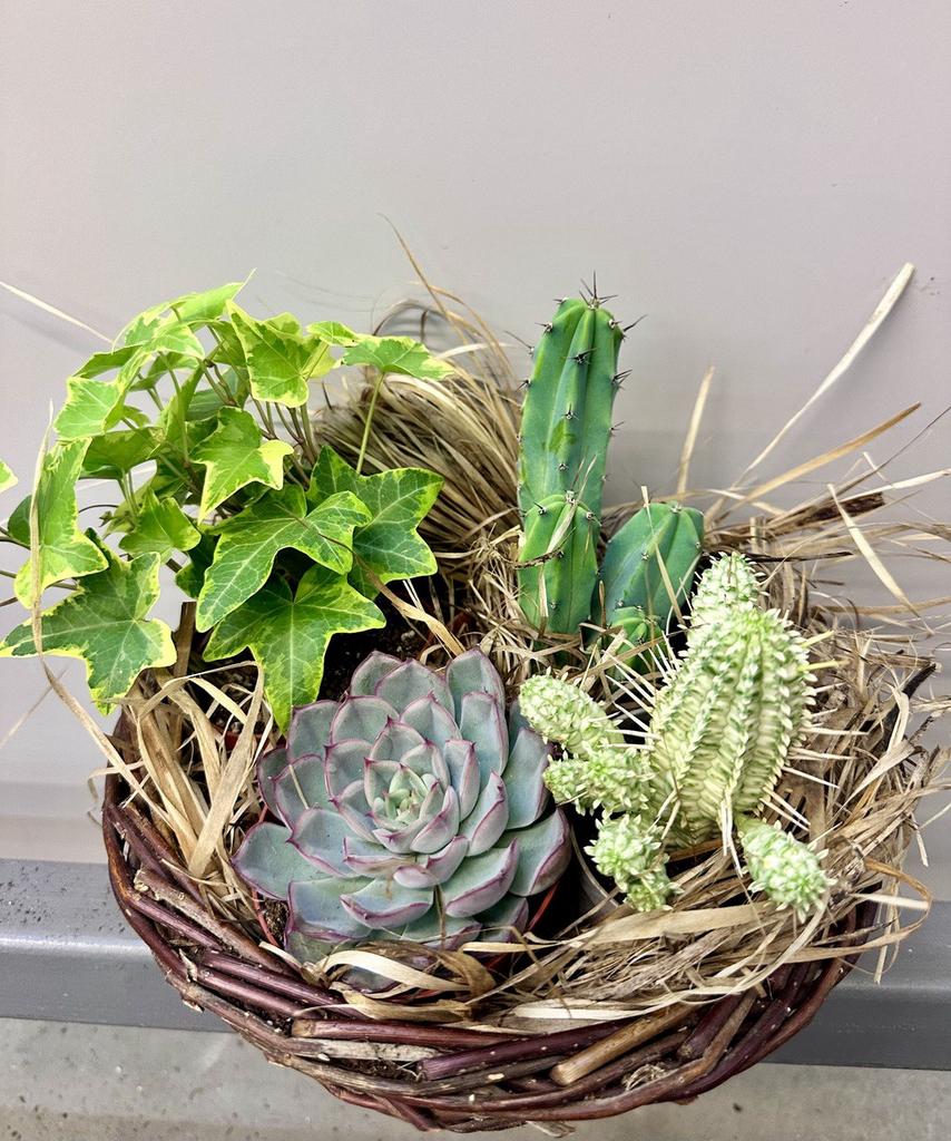 Композиция "Очарование утра"