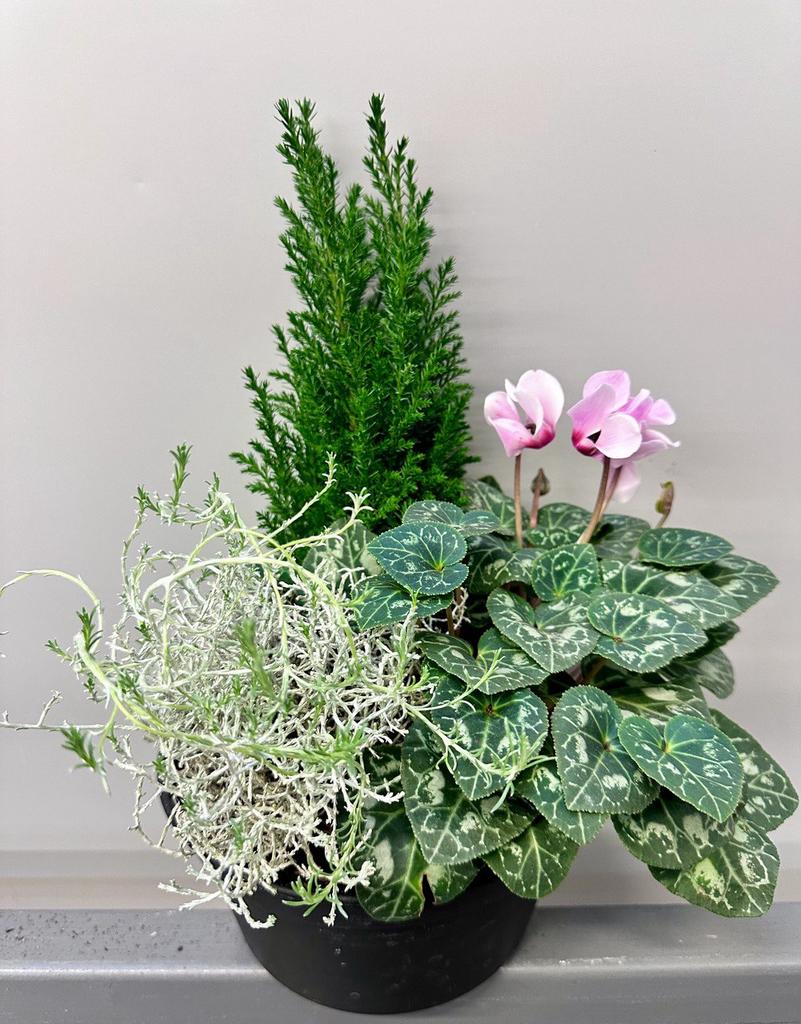 Композиция "Воспоминания о приятном"