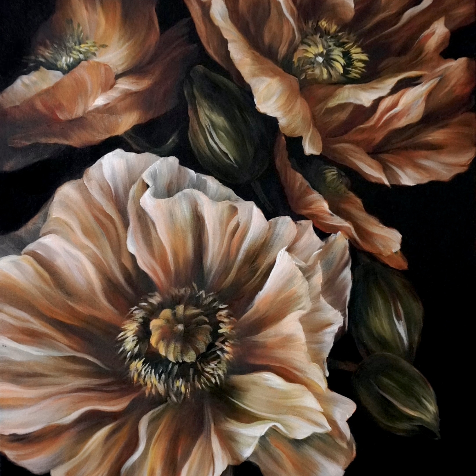 Июньские бутоны