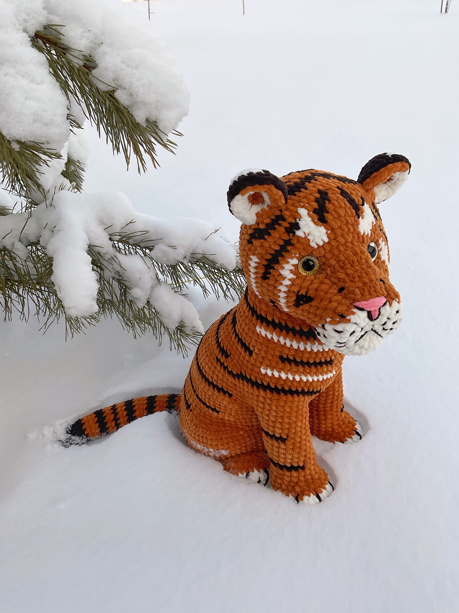 TIGER     English Pattern PDF