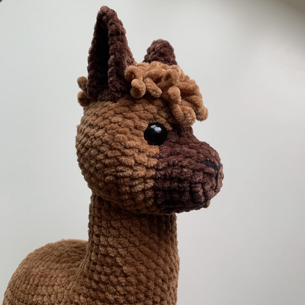 Alpaca English pattern PDF