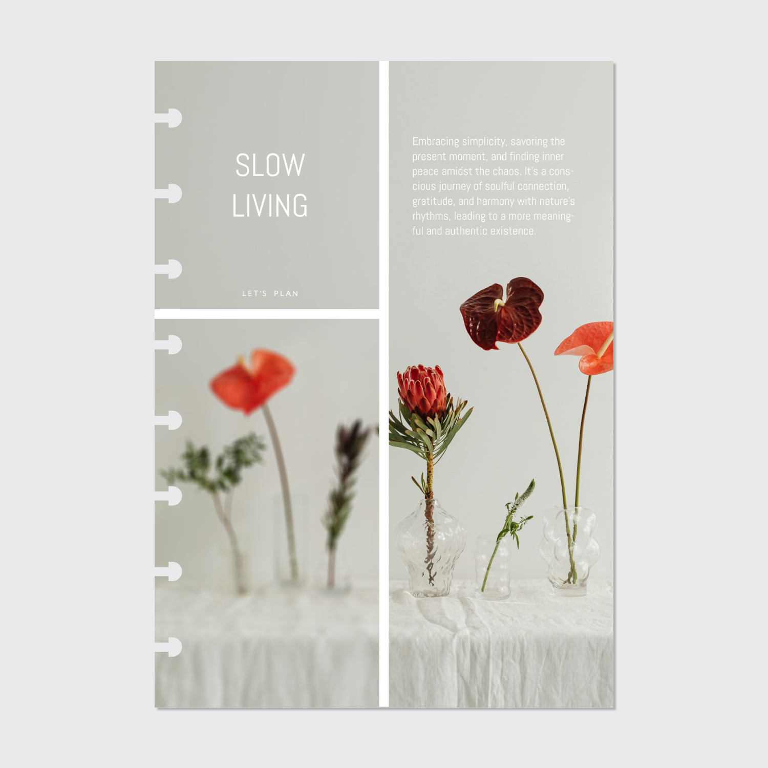 ОБЛОЖКА № 41 / А5