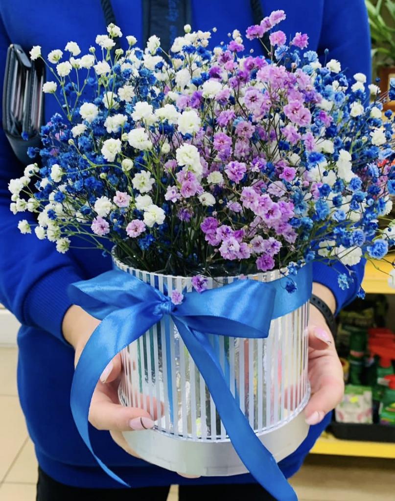 Коробочка с гипсофилой