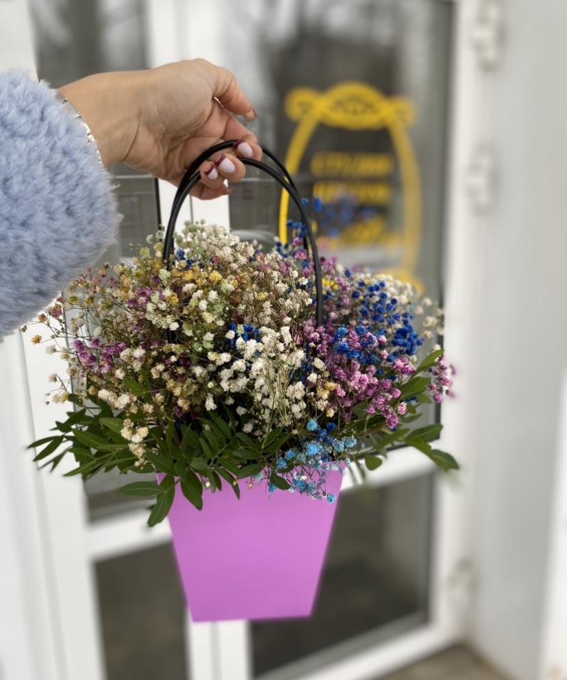 Гипсофила мини