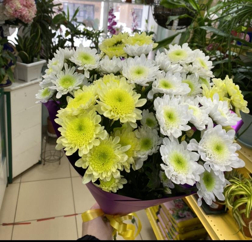 Моно из кустовых хризантем