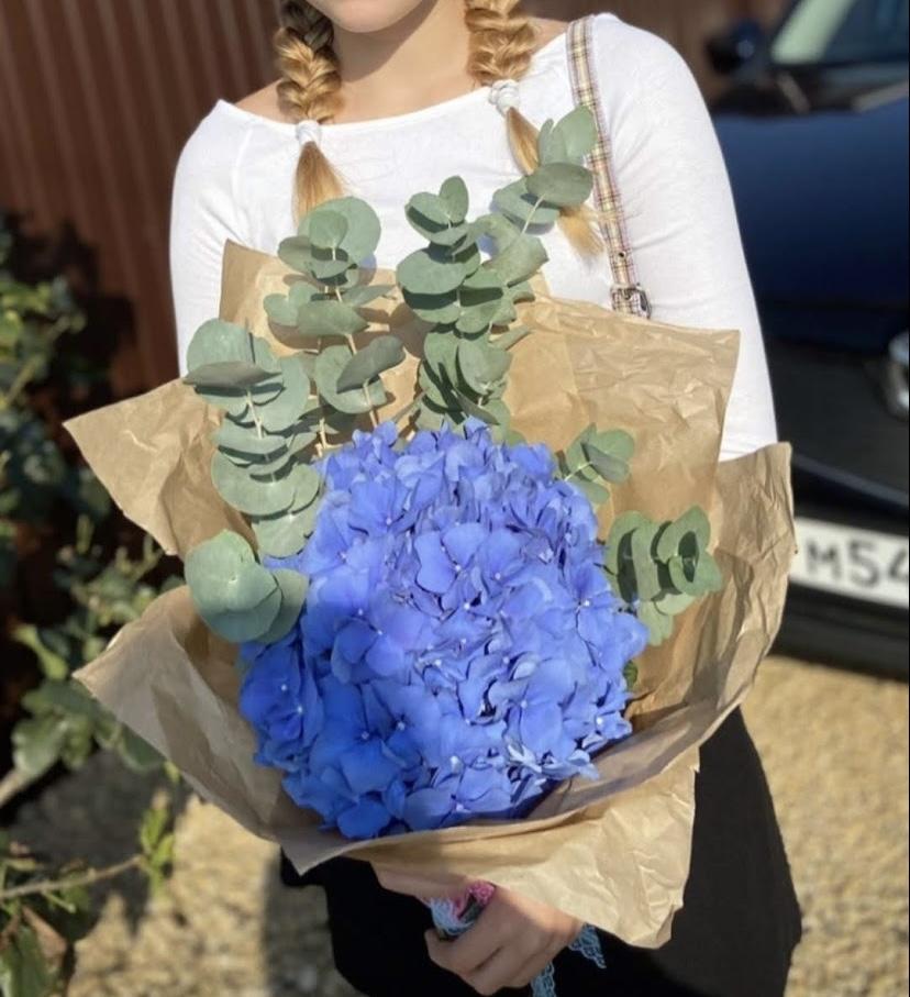 Букет гортензия