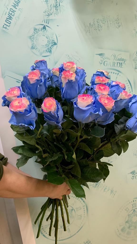 Радужная роза