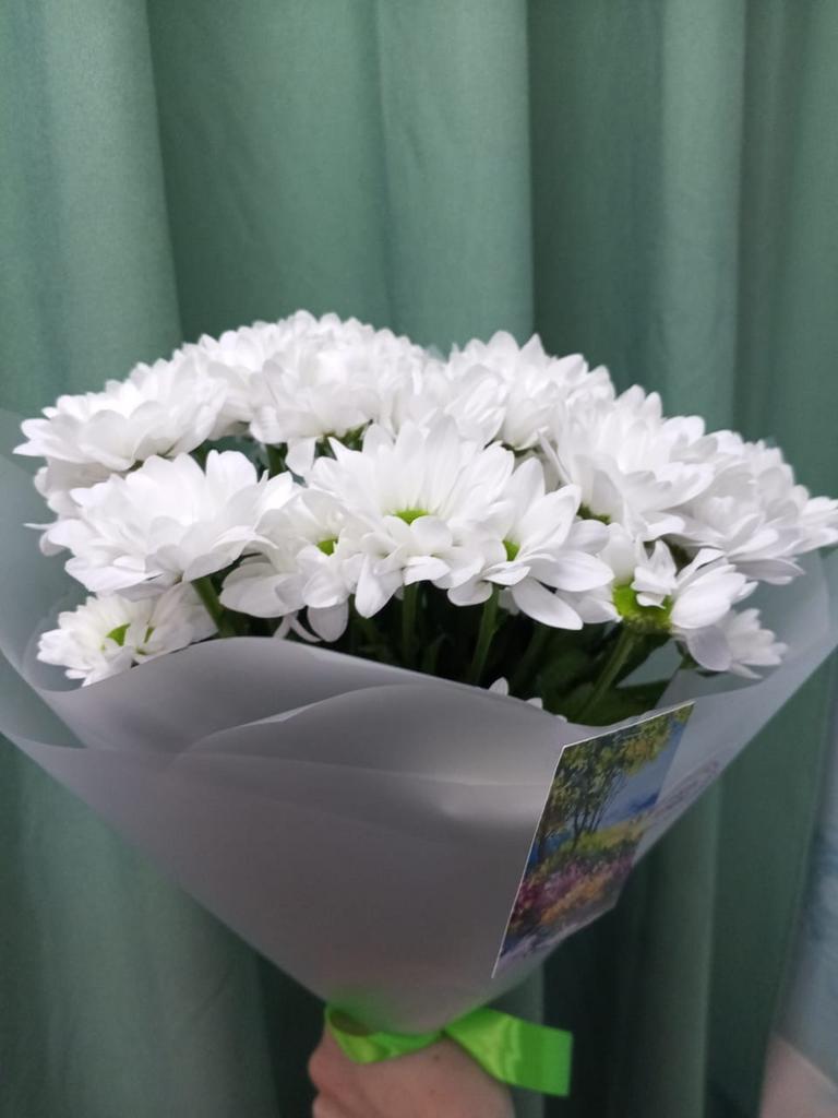 Букет Белоснежные хризантемы