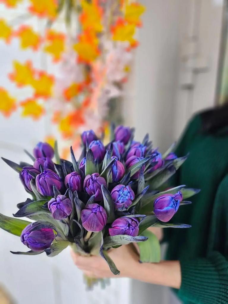 Тюльпаны в не сезон