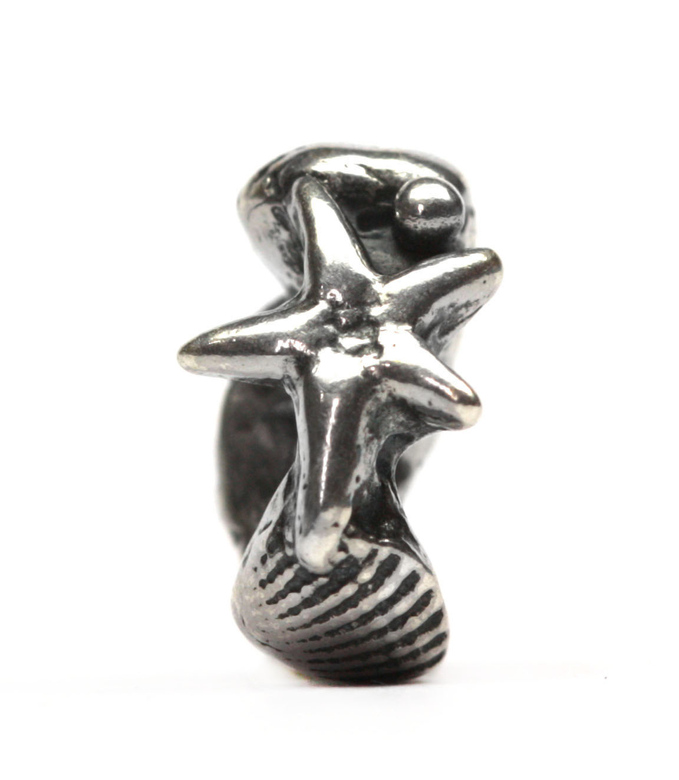 2790791 Shells n` Star