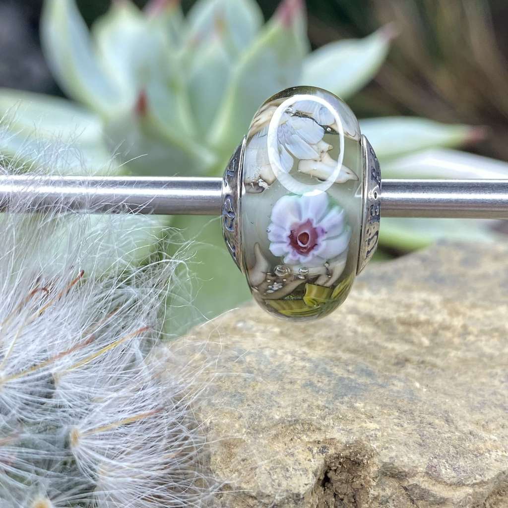 Fri AQUARIUM  2 plants