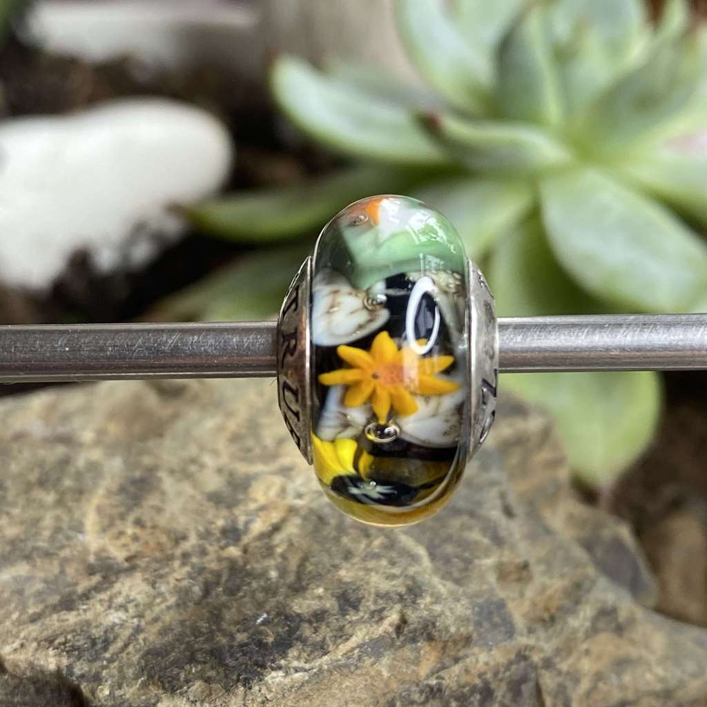 AQUARIUM  7 st Patrick bird on black