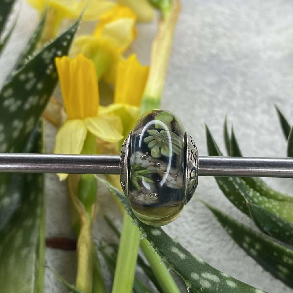 AQUARIUM  6 leaves only on grey