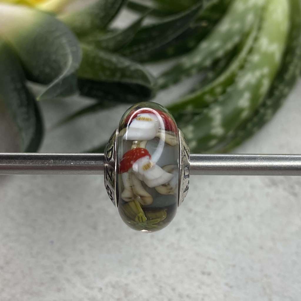 AQUARIUM  8 mushrooms on transparent grey