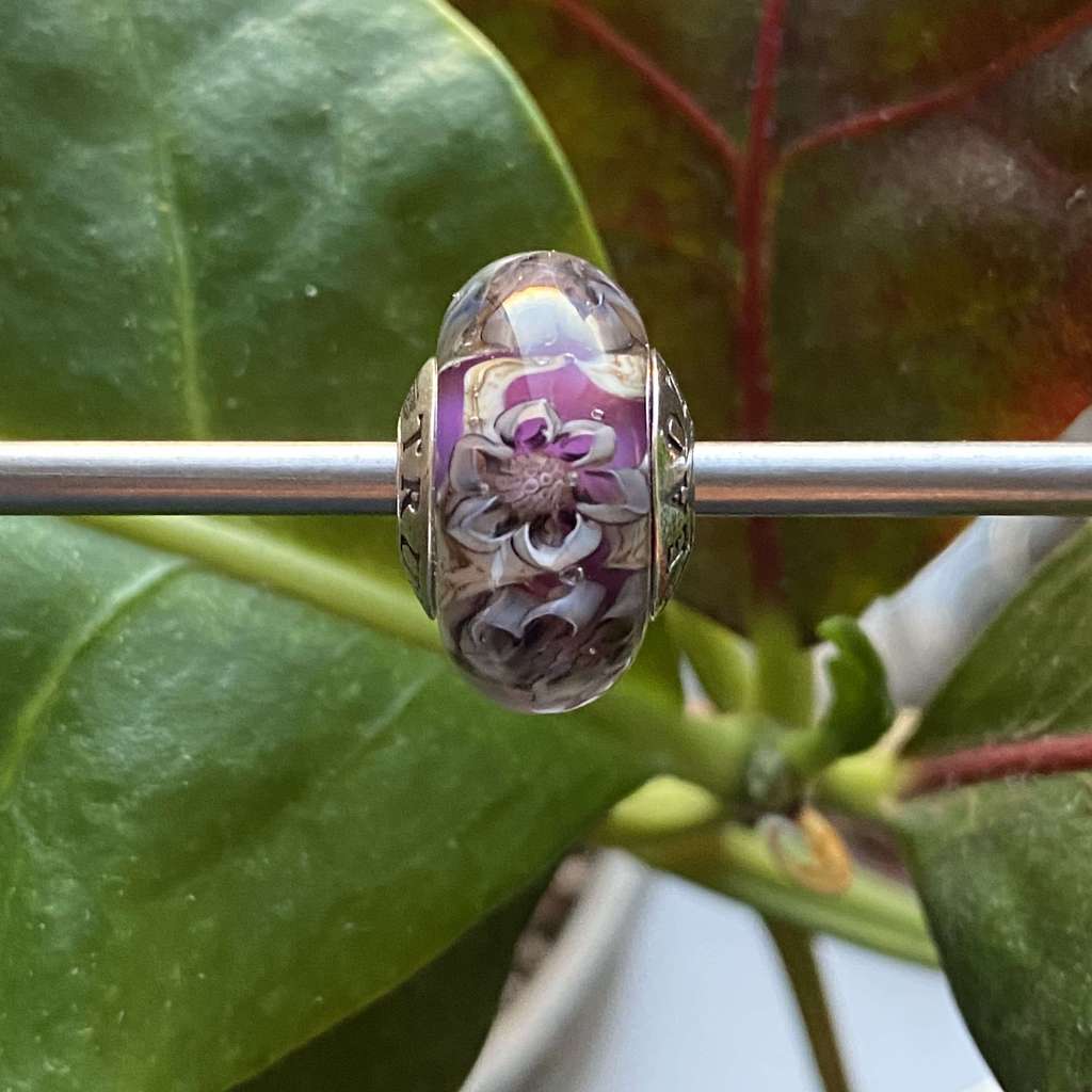 AQUARIUM  14 magic beauty on plum