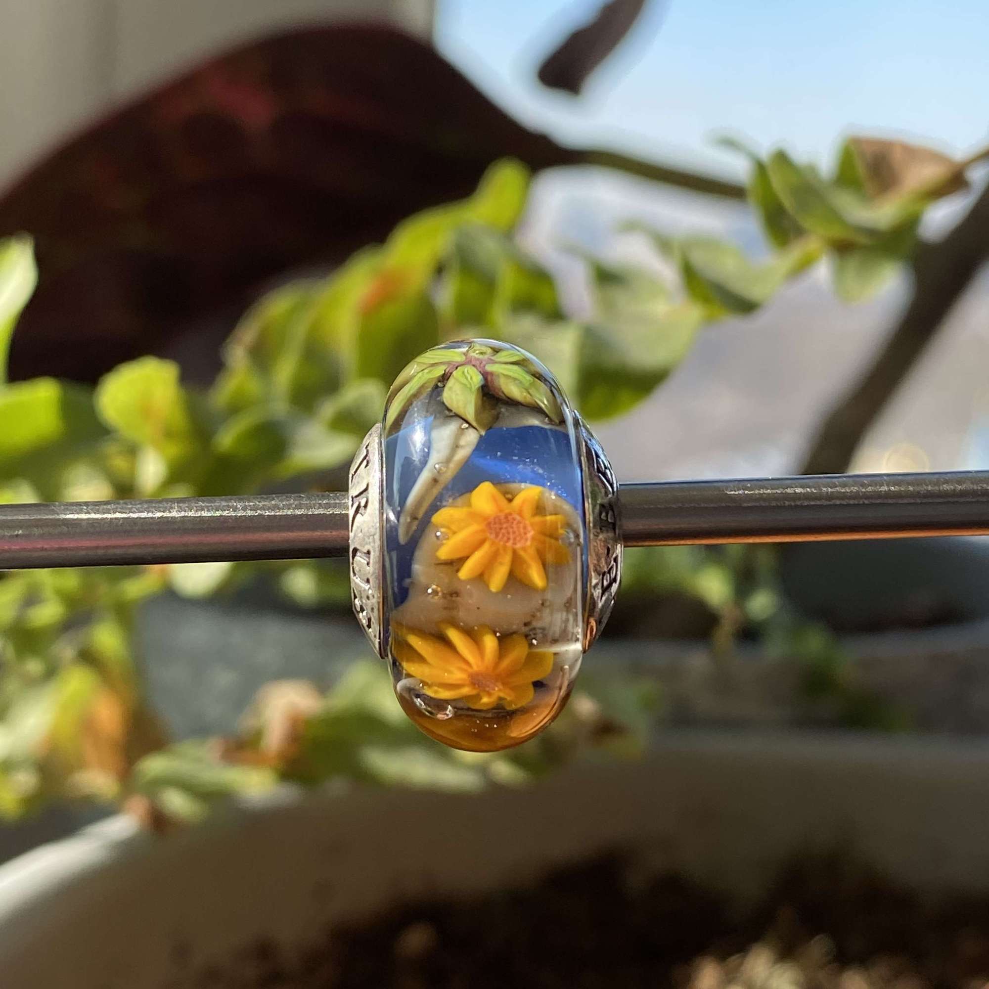 AQUARIUM  20 sunflowers