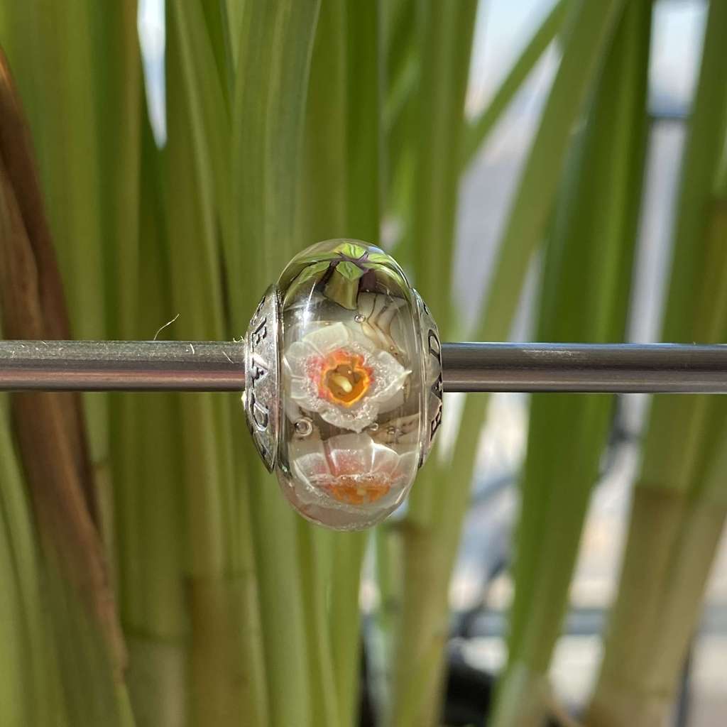 AQUARIUM 33 white daffodils on tr grey