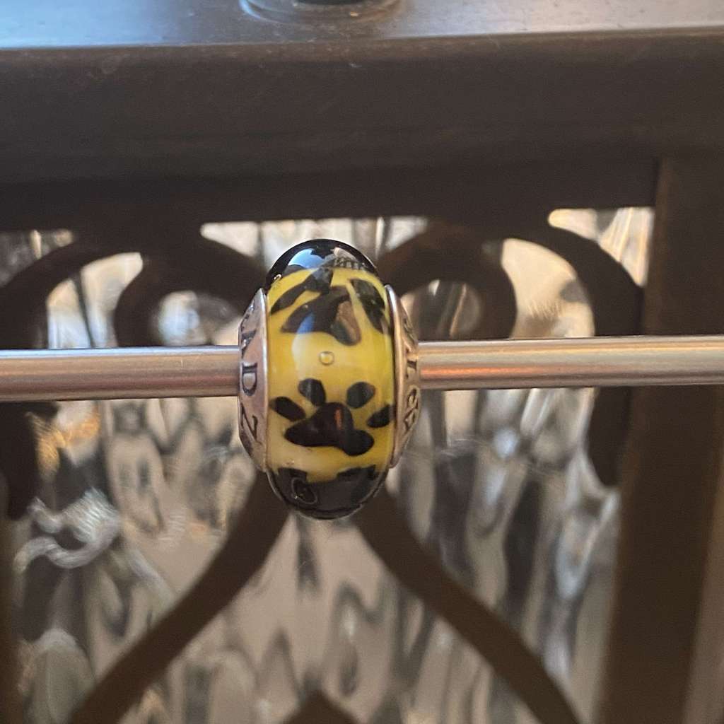 AQUARIUM 39 black paw prints on sunlight spot