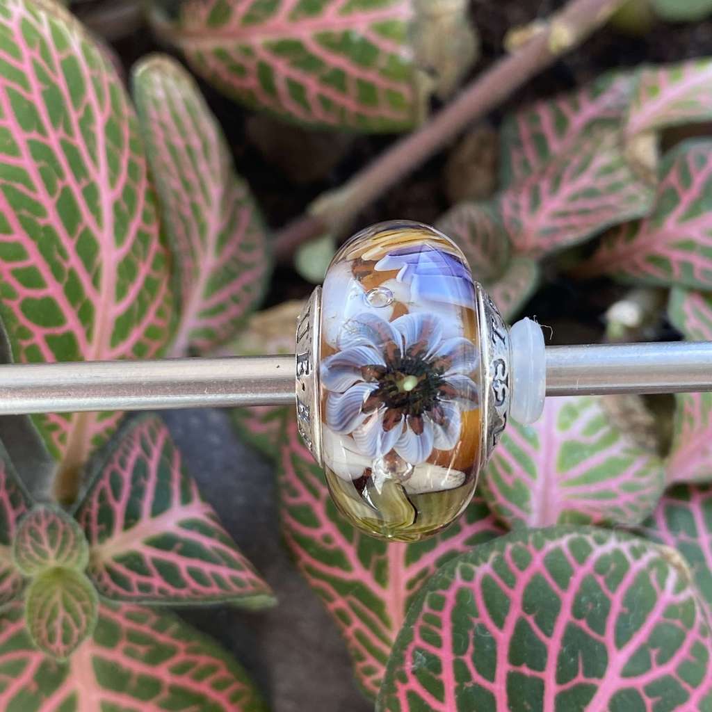 AQUARIUM 45 khaki and purple on mango