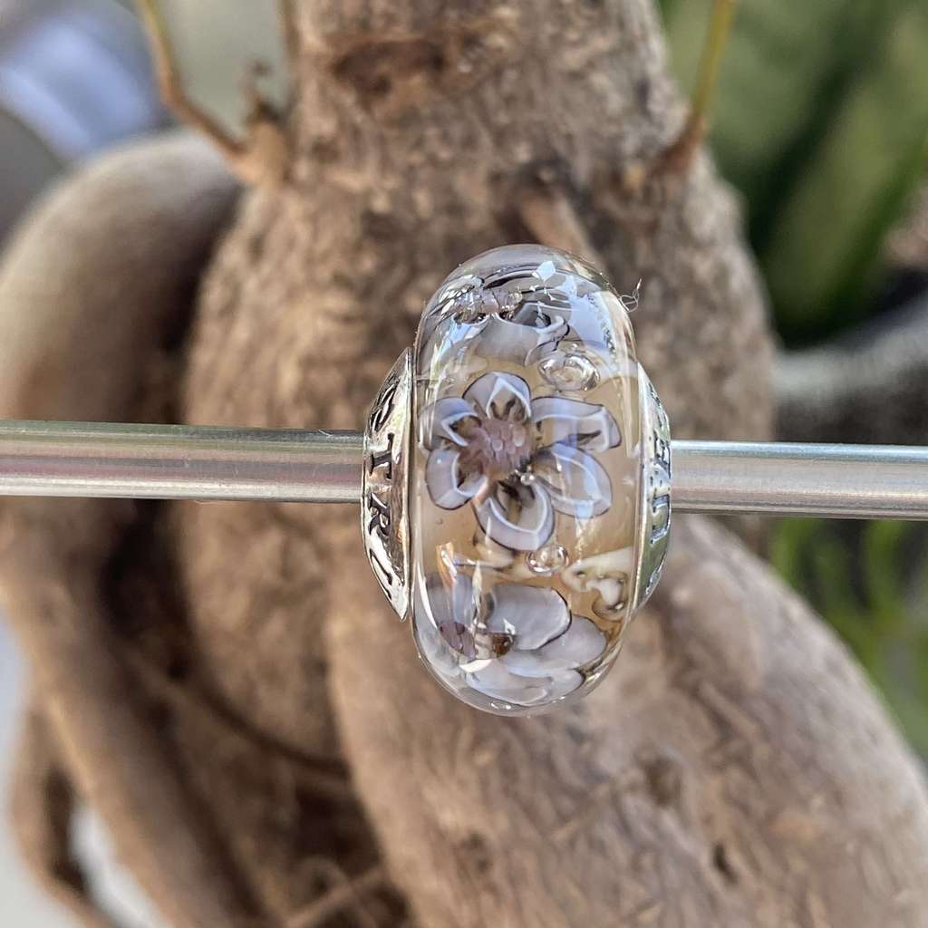 AQUARIUM 47 hazel paradise