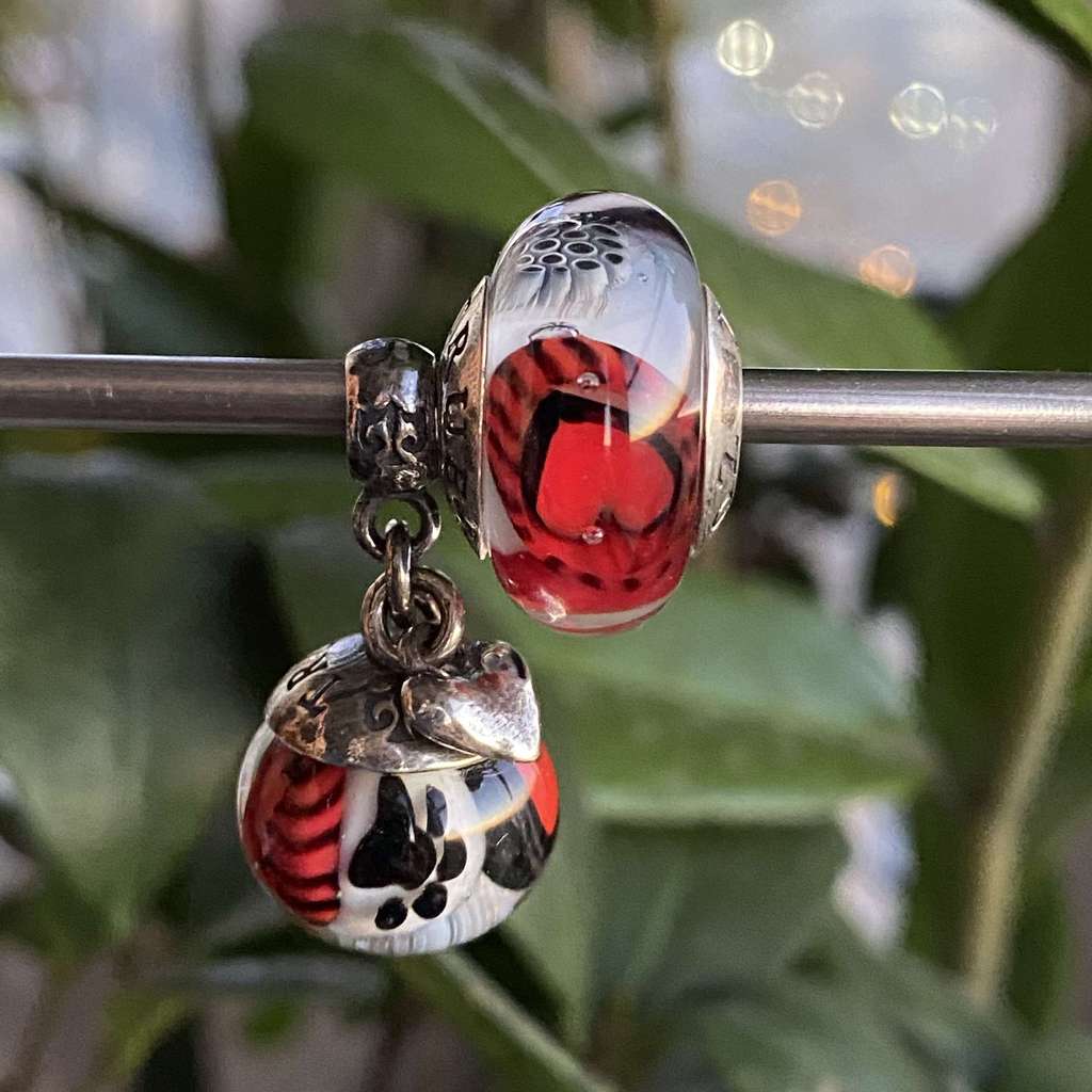 AQUARIUM SET 9 St Valentines