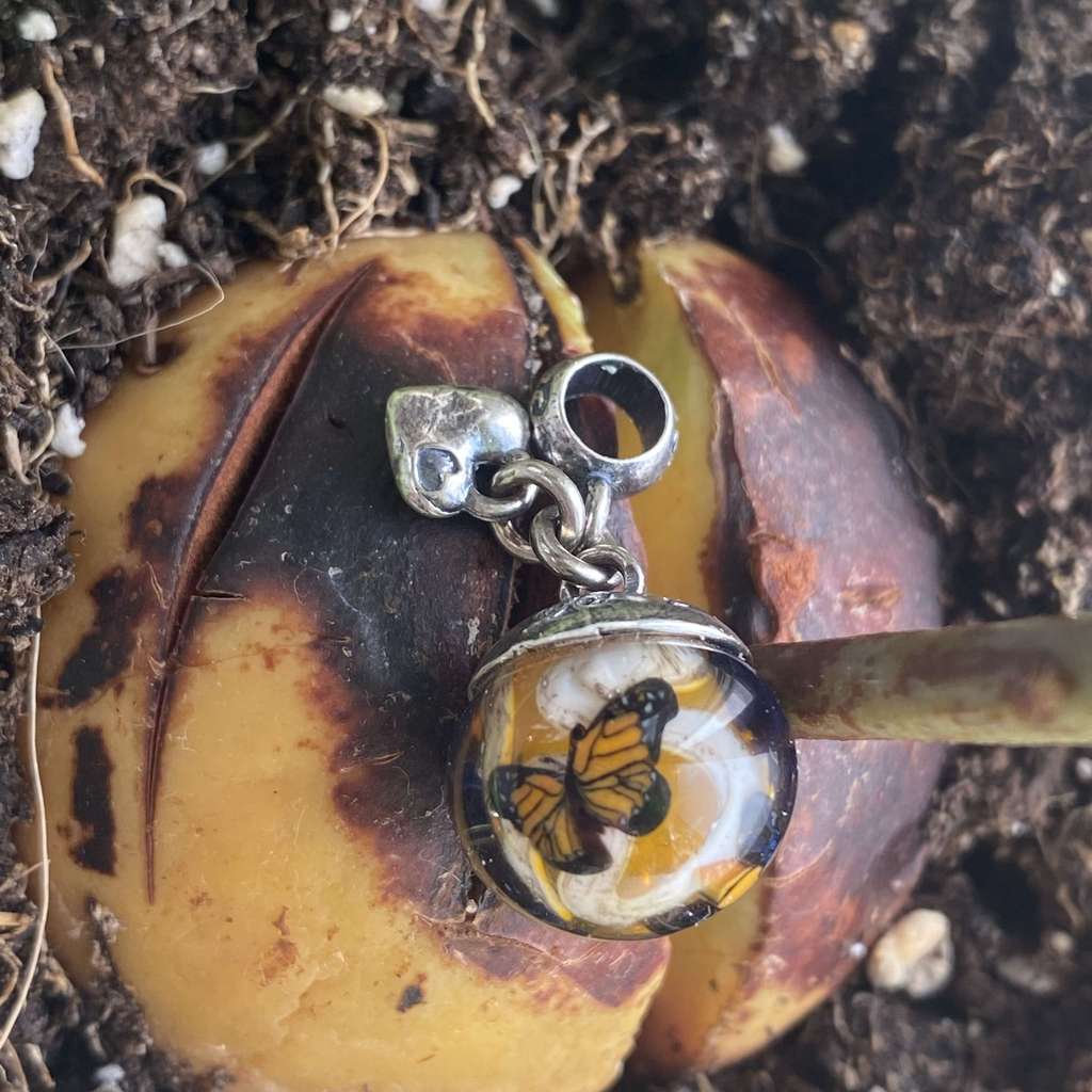 AQUARIUM  DANGLE 4 perfect mango