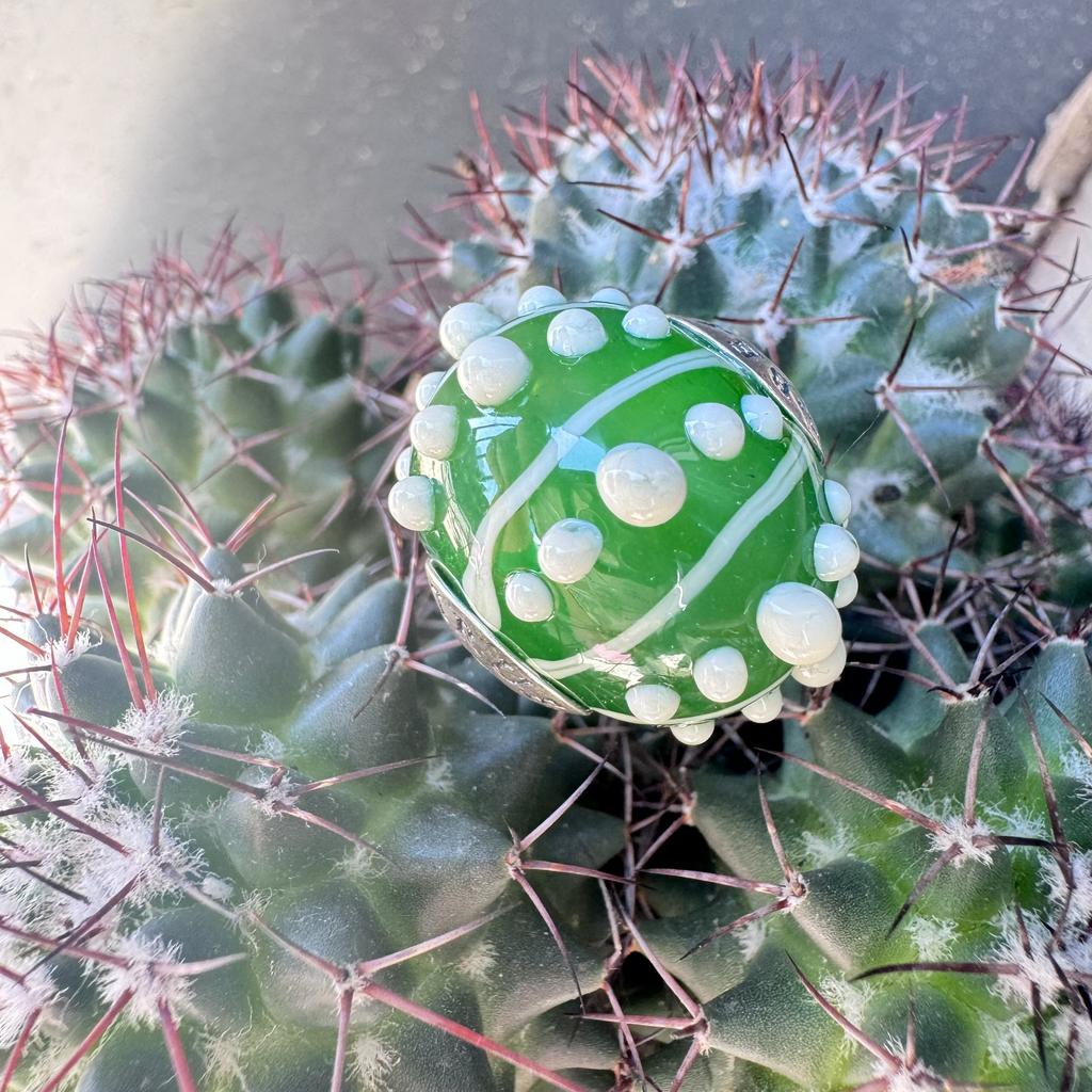 Big Opal Poison Cactus