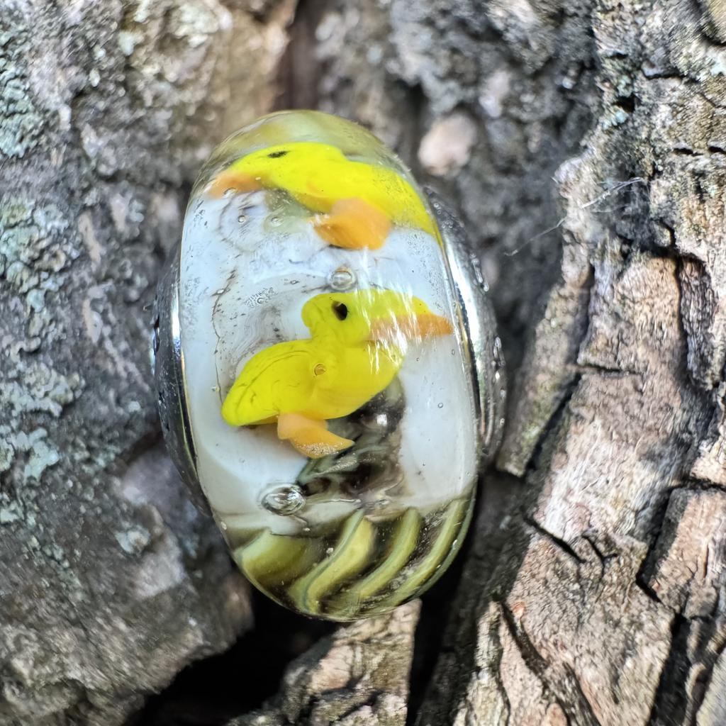 Bird aquarium bead