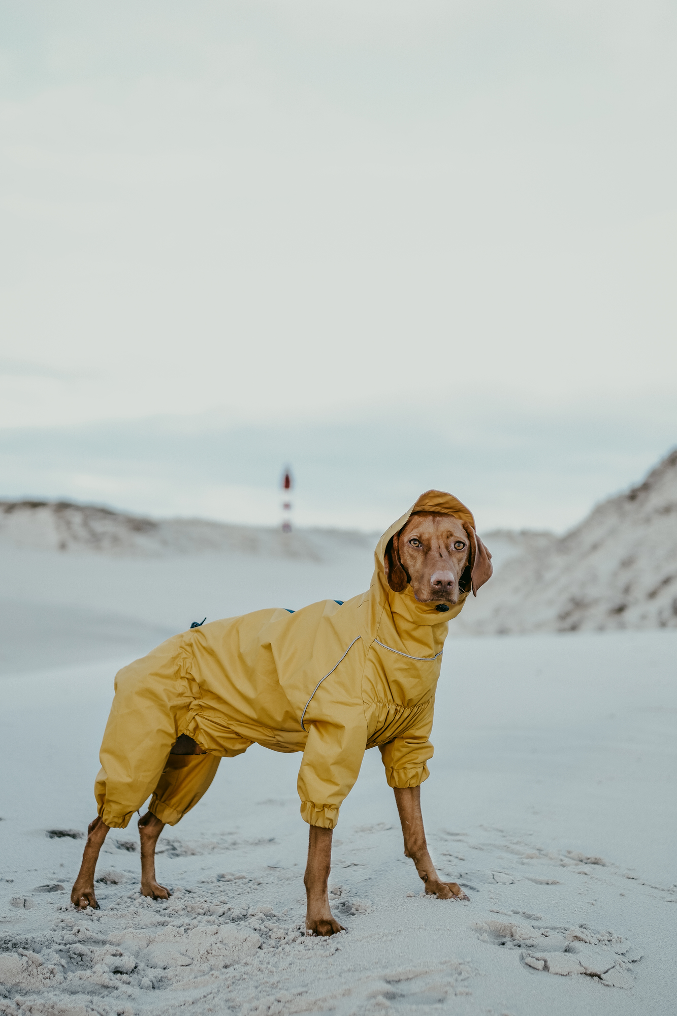 Горчичный комбинезон "EXPLORER"