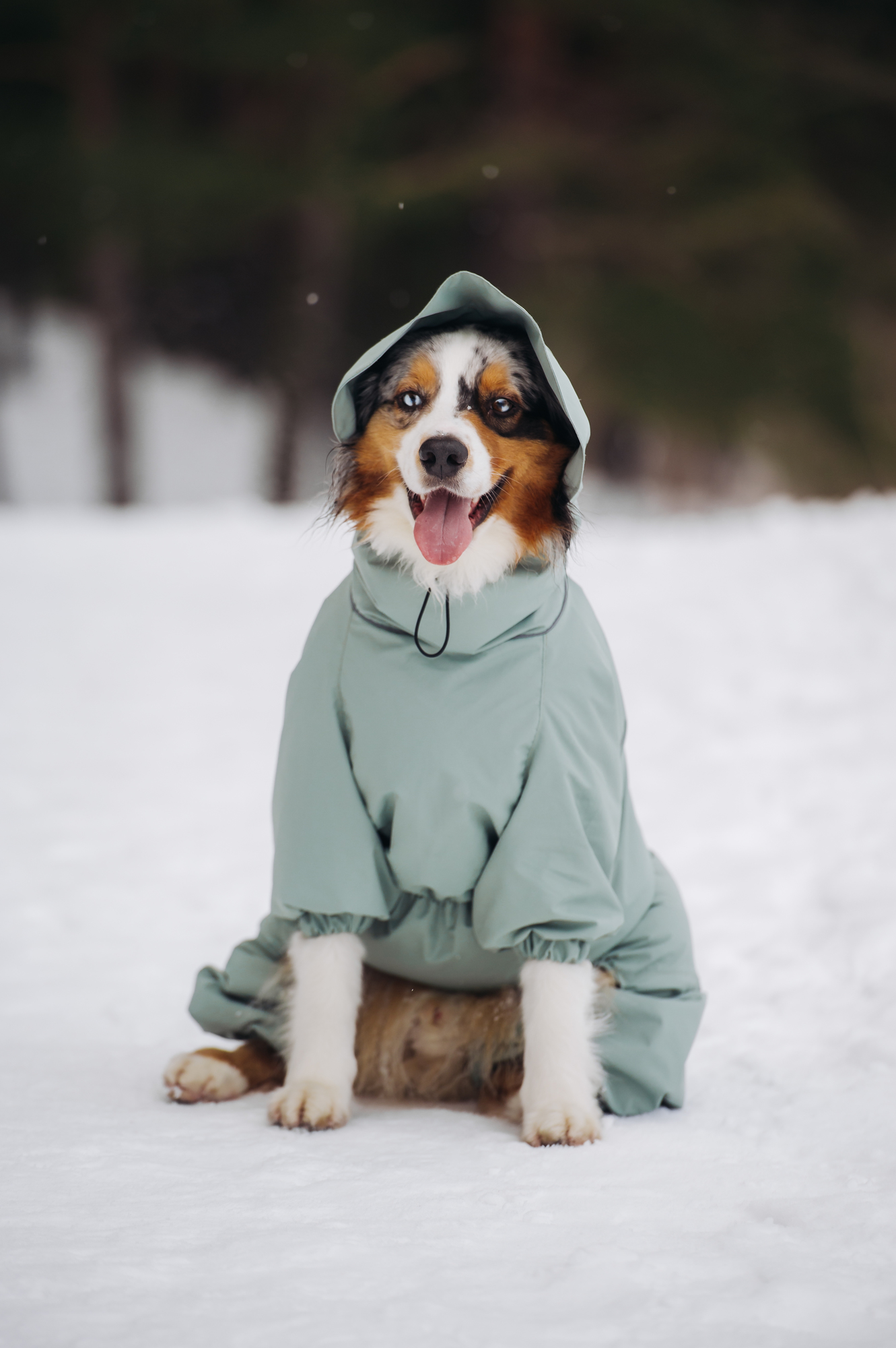 Комбинезон серо-ментоловый "EXPLORER"