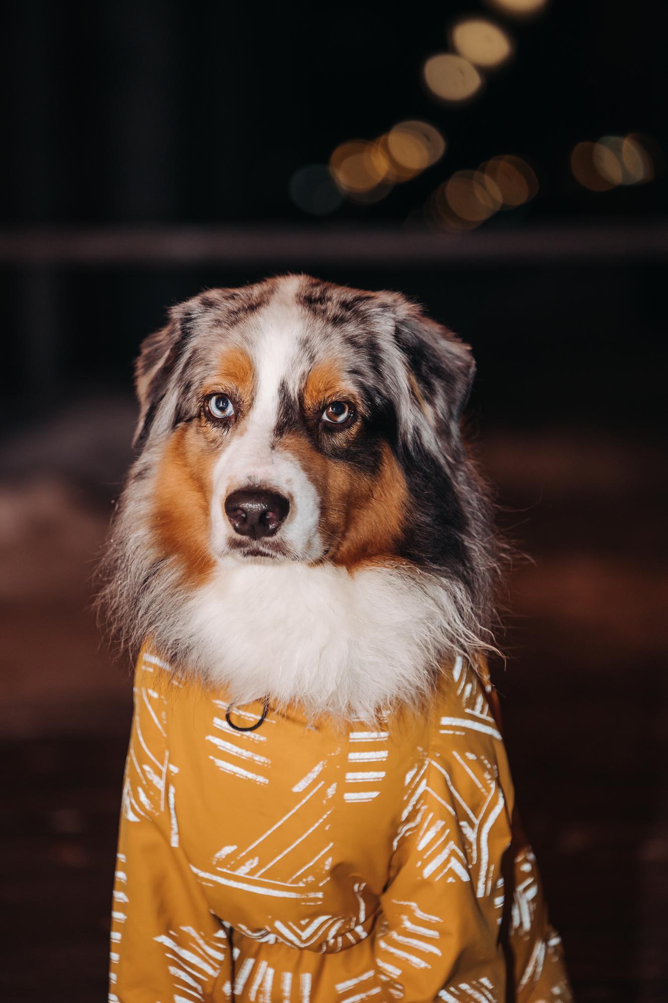 Комбинезон горчичный "EXPLORER" REFLECTIVE