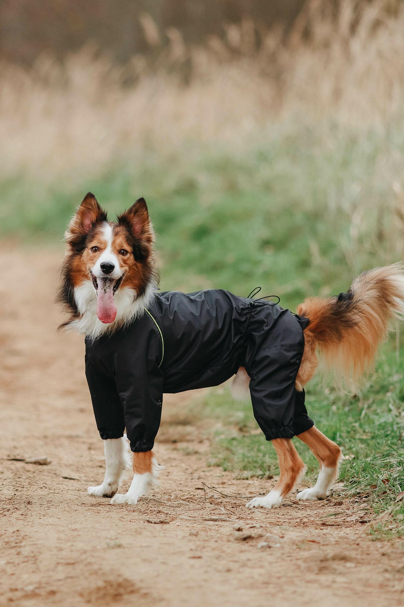 Комбинезон черный с салатовым кантом "EXPLORER"