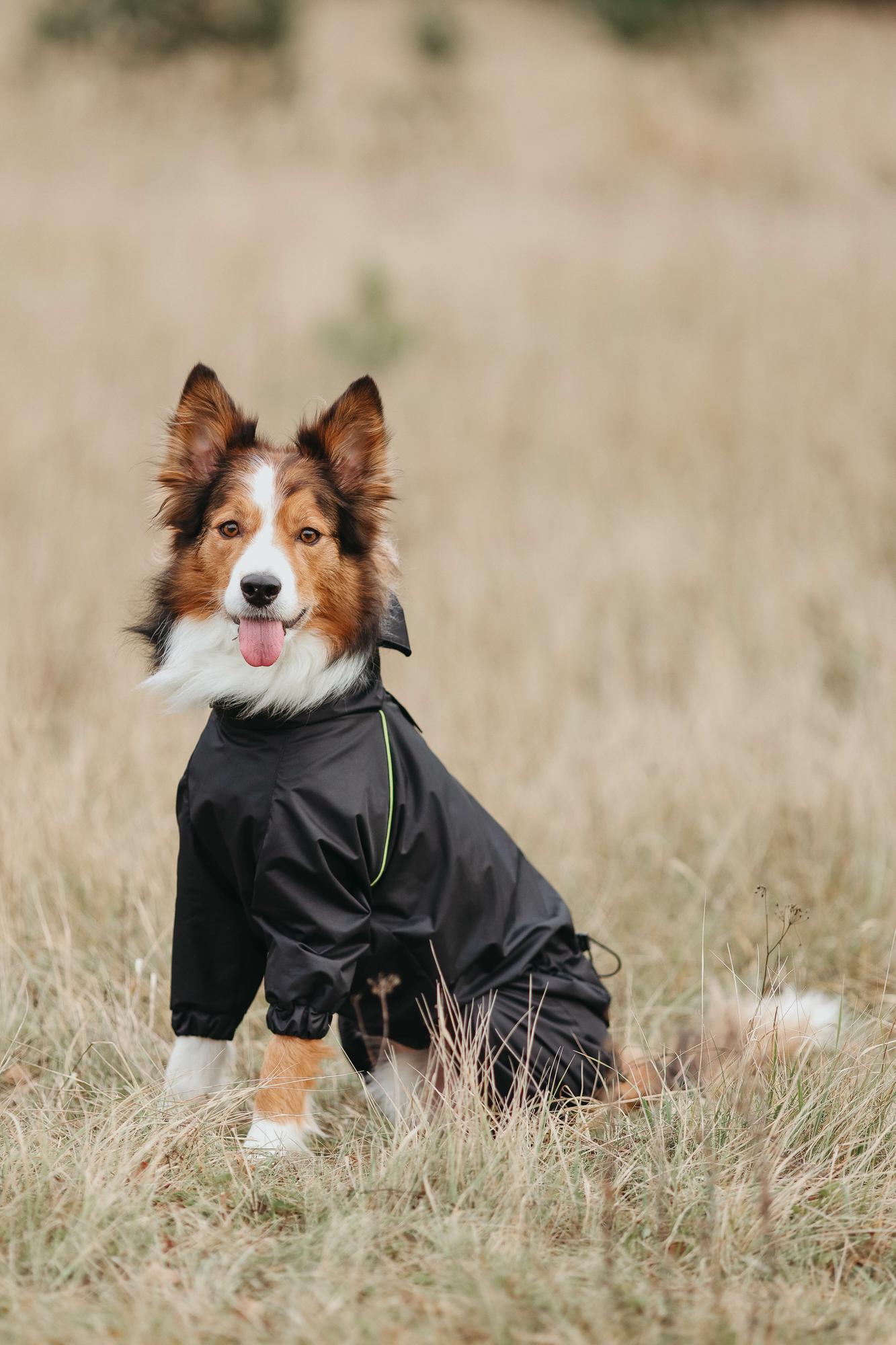 Комбинезон черный с салатовым кантом "EXPLORER"