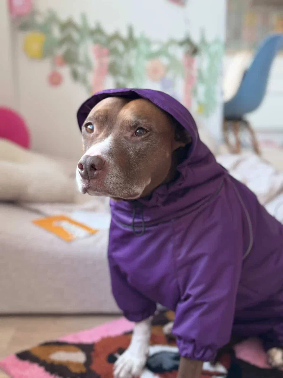 Комбинезон фиолетовый "EXPLORER"