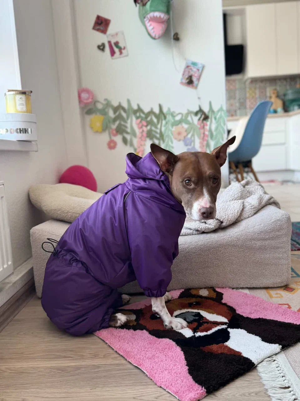 Комбинезон фиолетовый "EXPLORER"