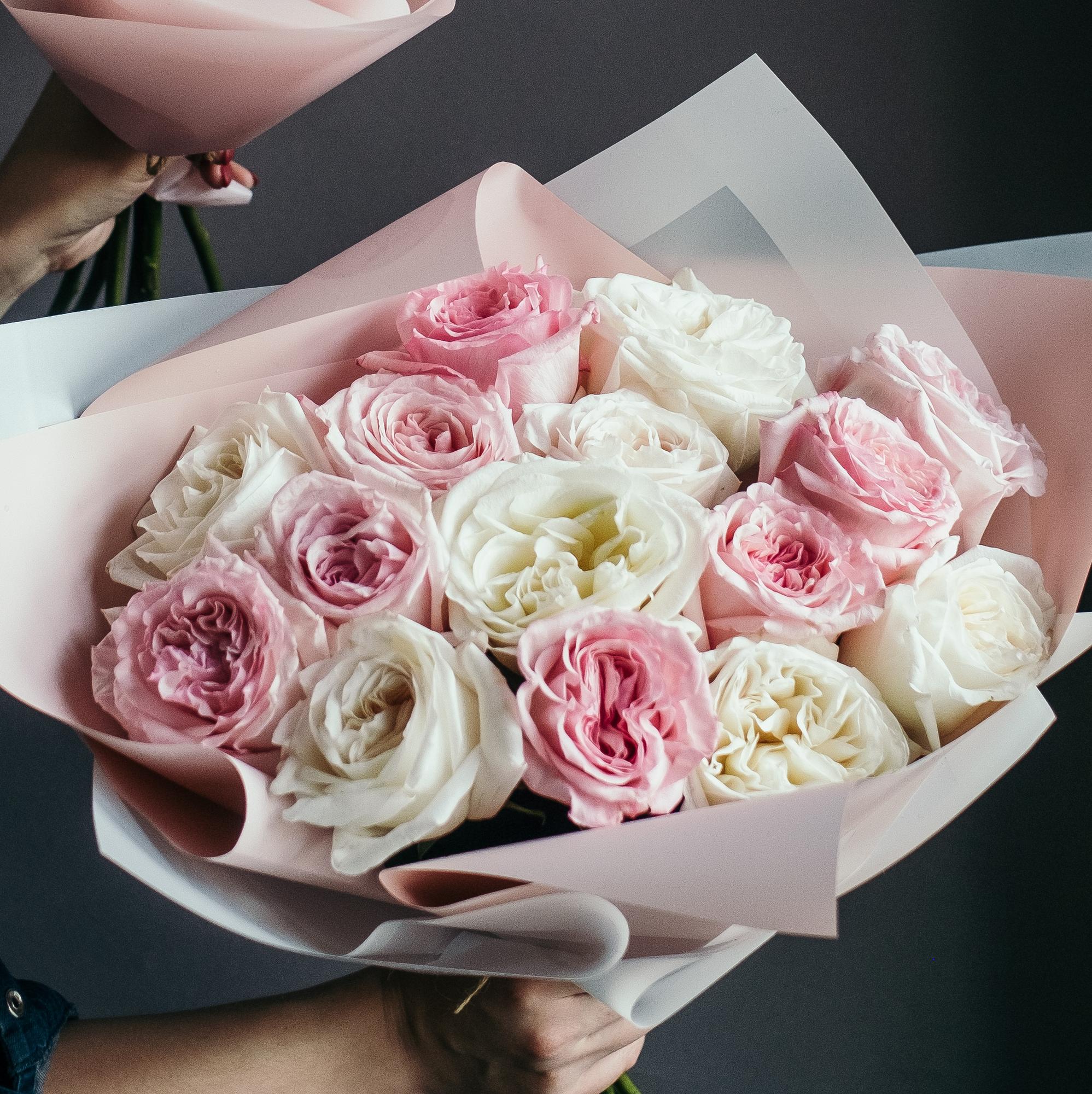 Пионовидная роза Охара