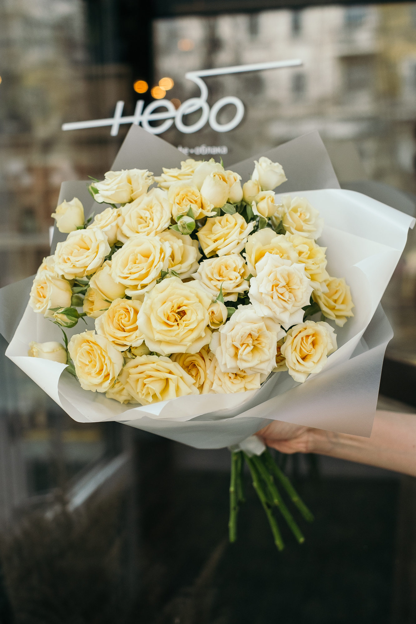 Кустовая кремовая роза